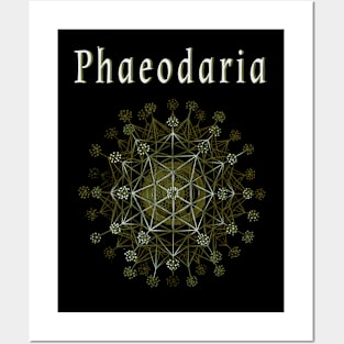 Phaeodaria Posters and Art